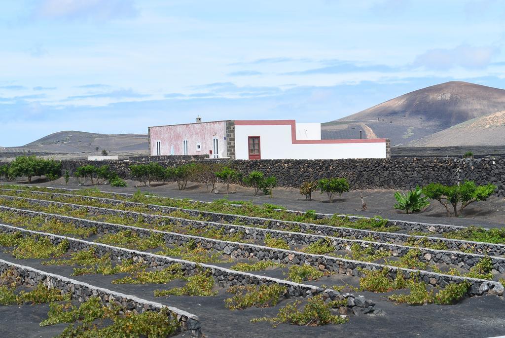 شقة Casa Bermejo San Bartolomé المظهر الخارجي الصورة